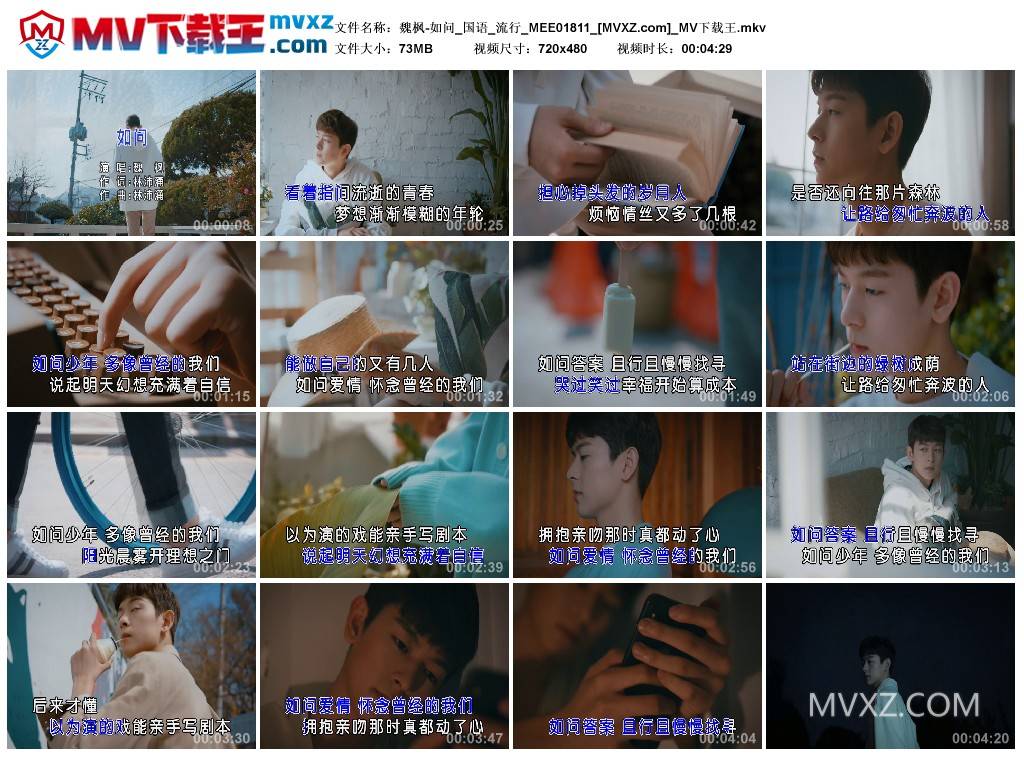 魏枫-如问_国语_流行_MEE01811